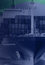 Tema Earnings Insights: Reshoring